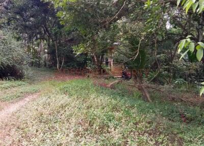 House with Land near Waterfall for Sale - North East Coast, Koh Chang