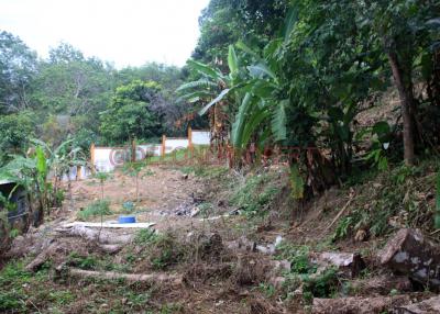 Land on the Hill for Sale - North West Coast, Koh Chang