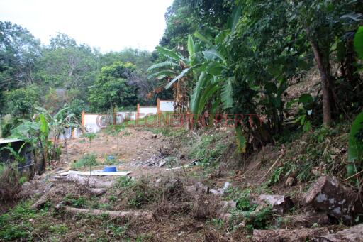 Land on the Hill for Sale - North West Coast, Koh Chang