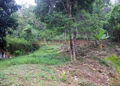 Land on the Hill for Sale - North West Coast, Koh Chang