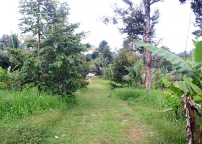4 Rai Land on Hillside with Sea View for Sale - North East Coast, Koh Chang