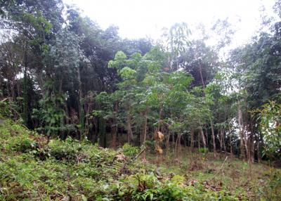 4 Rai Land on Hillside with Sea View for Sale - North East Coast, Koh Chang