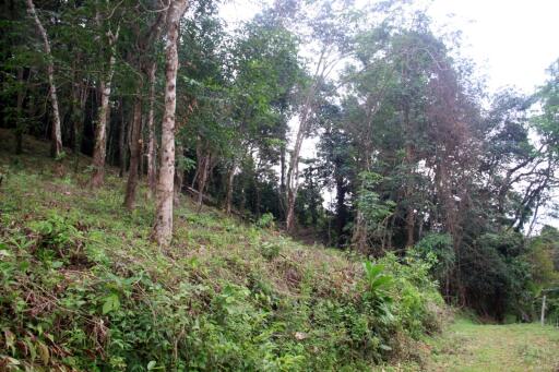 4 Rai Land on Hillside with Sea View for Sale - North East Coast, Koh Chang