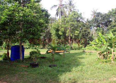 1 Rai Land Chanote in Quiet Area for Sale - North East Coast, Koh Chang