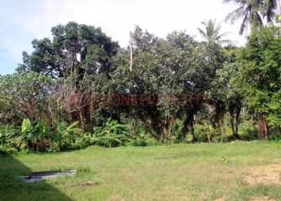 1 Rai Land Chanote in Quiet Area for Sale - North East Coast, Koh Chang