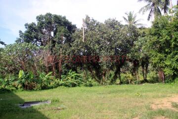 1 Rai Land Chanote in Quiet Area for Sale - North East Coast, Koh Chang