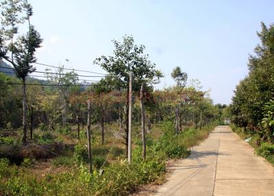 8 Rai Farming Land on Main Road for Sale - North East Coast, Koh Chang