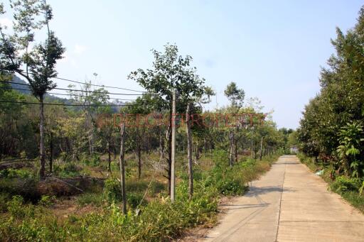 8 Rai Farming Land on Main Road for Sale - North East Coast, Koh Chang