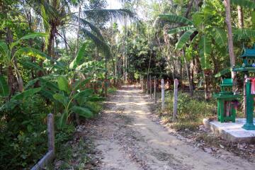 2 Rai Land with New House for Sale - South East Coast, Koh Chang