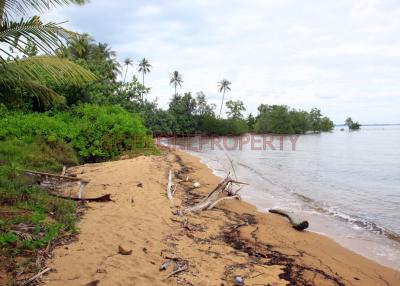 3 Rai on Beach Front with Building for Sale - North East Coast, Koh Chang