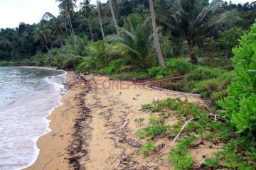 3 Rai on Beach Front with Building for Sale - North East Coast, Koh Chang