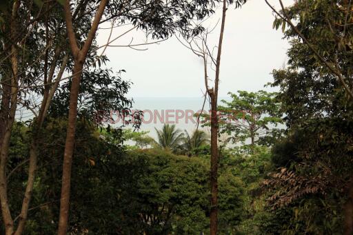 2 Rai Sea View Land on Hillside for Sale - North East Coast, Koh Chang