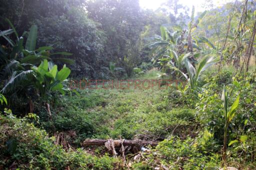 2 piece of 2 Rai Land for Sale near Main Road - North East Coast, Koh Chang