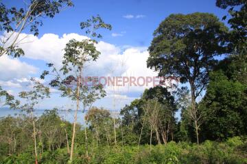 8 Rai Land Sea View for Sale - North East Coast, Koh Chang