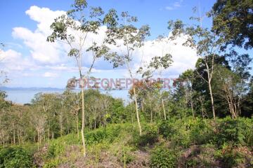 8 Rai Land Sea View for Sale - North East Coast, Koh Chang