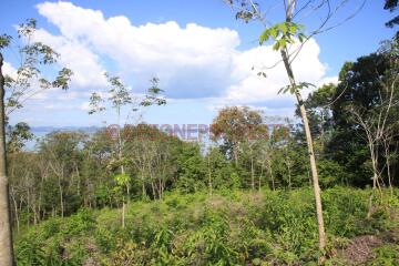 8 Rai Land Sea View for Sale - North East Coast, Koh Chang