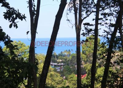 Beautiful Sea View Land for Sale - North West Coast, Koh Chang