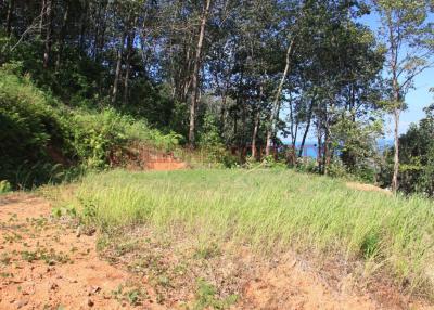 Beautiful Sea View Land for Sale - North West Coast, Koh Chang