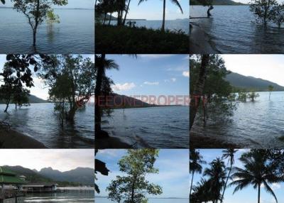 Many Land from 2 Rai+ for Sale - North East Coast, Koh Chang