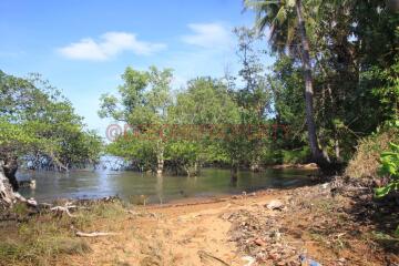 Many Land from 2 Rai+ for Sale - North East Coast, Koh Chang