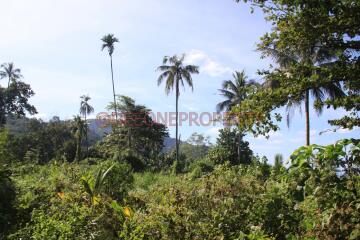 Many Land from 2 Rai+ for Sale - North East Coast, Koh Chang