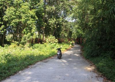 Many Land from 2 Rai+ for Sale - North East Coast, Koh Chang