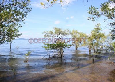 Many Land from 2 Rai+ for Sale - North East Coast, Koh Chang