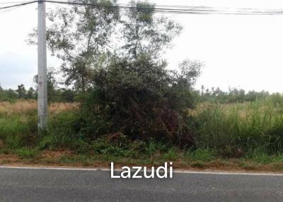 1 Rai Land For Sale in Pattaya