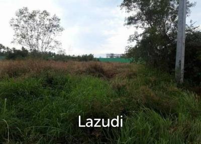 1 Rai Land For Sale in Pattaya