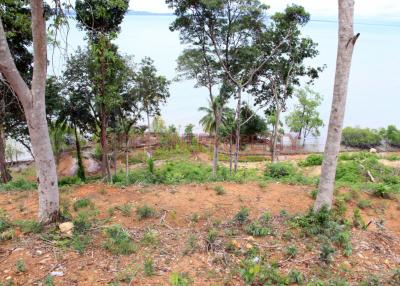 Beach Front Land for Sale - North East Coast, Koh Chang