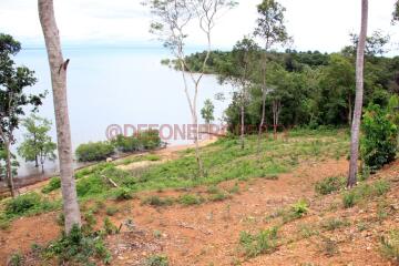 Beach Front Land for Sale - North East Coast, Koh Chang