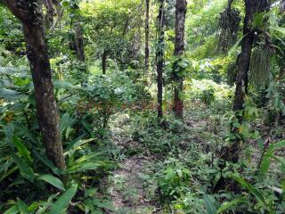 2 Rai Land near Waterfall - North East Coast, Koh Chang