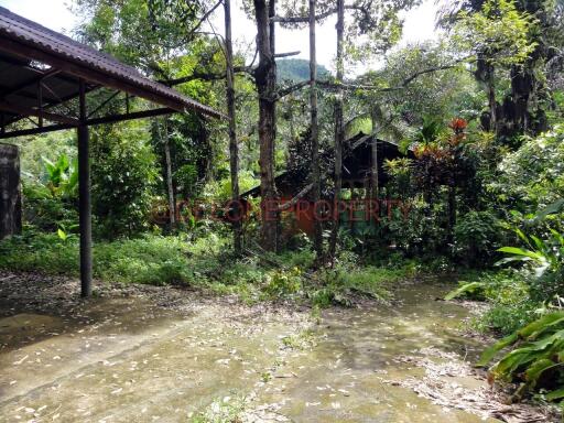 2 Rai Land near Waterfall - North East Coast, Koh Chang