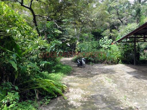 2 Rai Land near Waterfall - North East Coast, Koh Chang