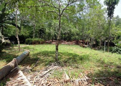 Land 5.5 Rai with Pond for Sale - South East Coast, Koh Chang