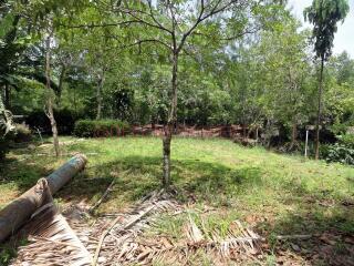 Land 5.5 Rai with Pond for Sale - South East Coast, Koh Chang