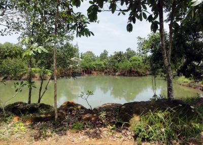 Land 5.5 Rai with Pond for Sale - South East Coast, Koh Chang