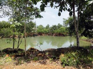 Land 5.5 Rai with Pond for Sale - South East Coast, Koh Chang