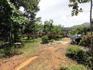 Land 5.5 Rai with Pond for Sale - South East Coast, Koh Chang