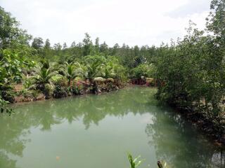 Land 5.5 Rai with Pond for Sale - South East Coast, Koh Chang