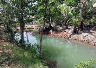 Land 5.5 Rai with Pond for Sale - South East Coast, Koh Chang