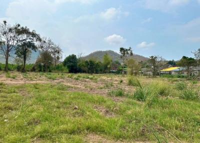 Empty plot of land with grass and trees under a blue sky