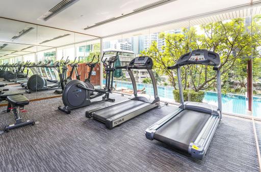 Modern gym facility with cardio machines and city view