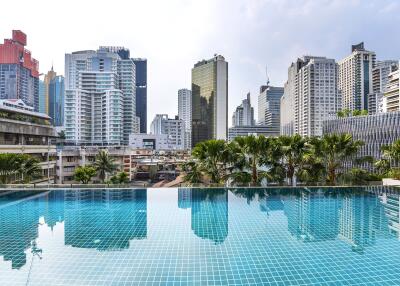 Swimming pool with city skyline view