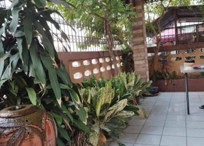 Cozy home patio with lush green plants and tiled flooring