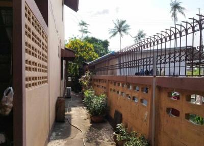 Spacious outdoor area of a residential property with planted pots and a sunny sky