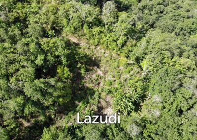 Prime 6,492 SQ.M. Land For Sale In Pa Tong