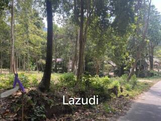 Riverside Bliss: 1784 Sqm Land near Elephant Sanctuary, Temple, and Waterfall in Maduwan – A Tranquil Haven with Nature