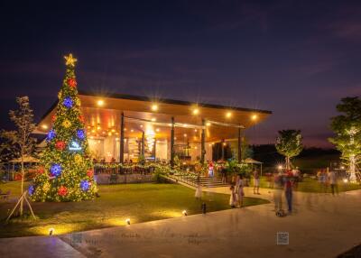 Spacious building exterior with festive decoration and illuminated Christmas tree at dusk