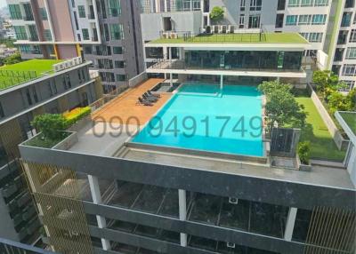 High-rise apartment view overlooking a swimming pool and courtyard